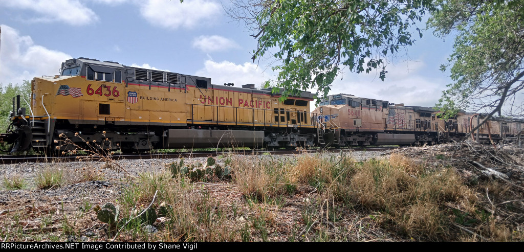 UP 6436